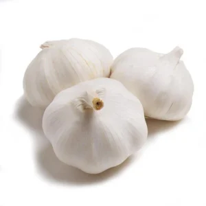 Garlic